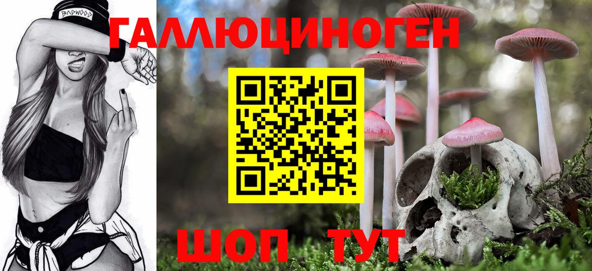 Галлюциногенные грибы Cubensis Магадан